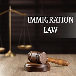 Gold scales of justice and a judge's gavel for immigration law and visa litigation services.